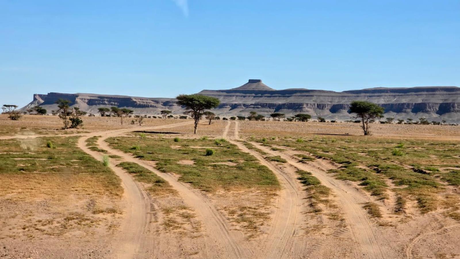 Bivouac Cote-Iriki Hotell Foum Zguid Exteriör bild
