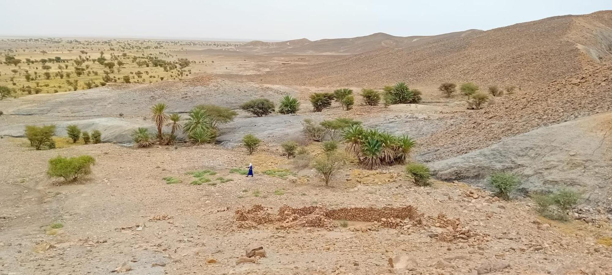 Bivouac Cote-Iriki Hotell Foum Zguid Exteriör bild