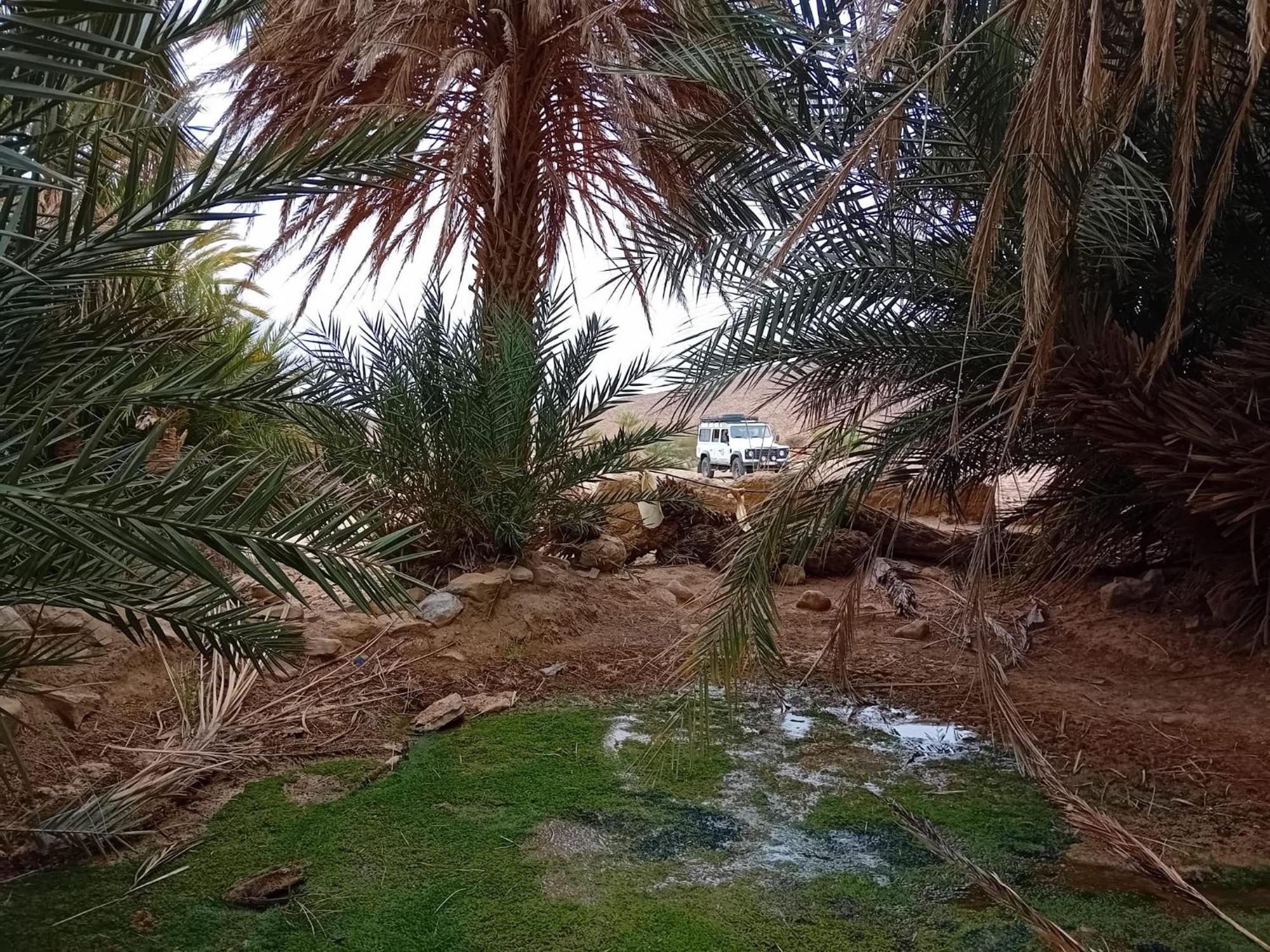 Bivouac Cote-Iriki Hotell Foum Zguid Exteriör bild